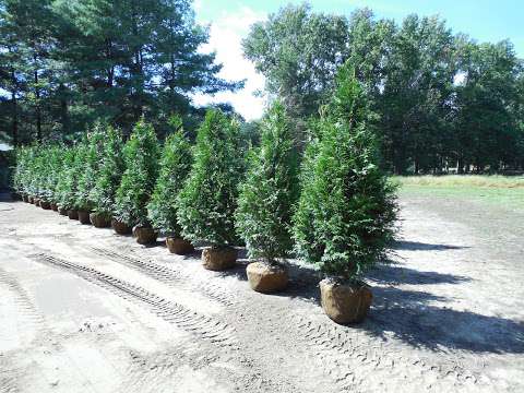 Cinnaminson Nurseries, Inc. Cinnaminson Nurseries, Inc.